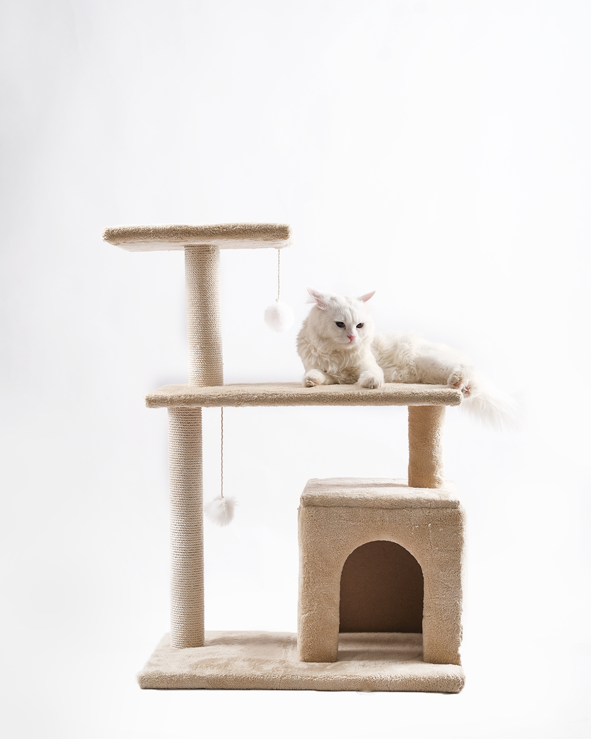 Shine Wings Cat Tree