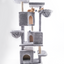 Terex Castle Cat Tour
