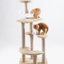 Curvy Cat Tree + Scratching Column