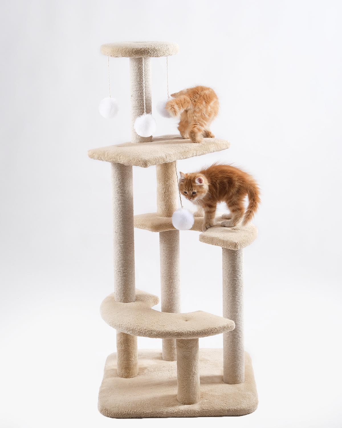 Curvy Cat Tree + Scratching Column