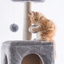 Dreamy Cat Tree