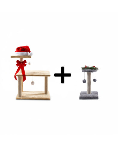 Shine Wings + Scratching Column