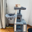 Lovely Cat Tree