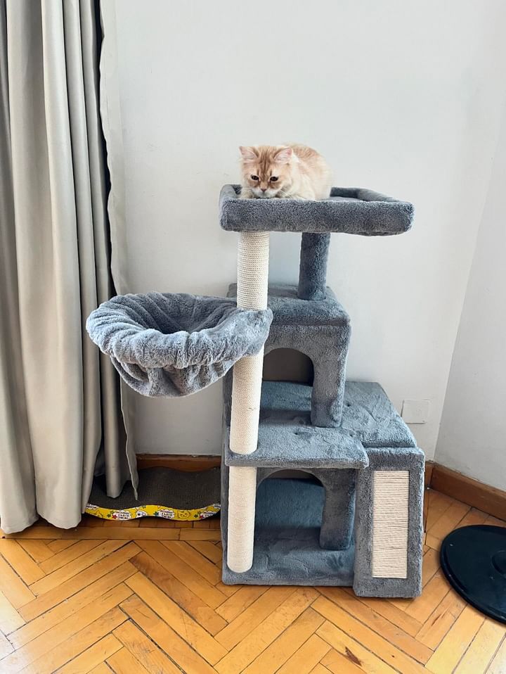 Lovely Cat Tree
