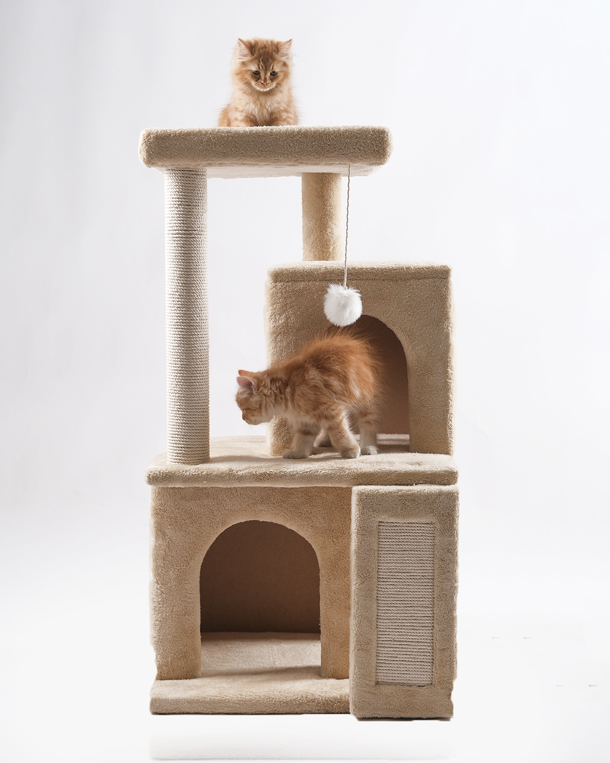 Fancy Cat Tree